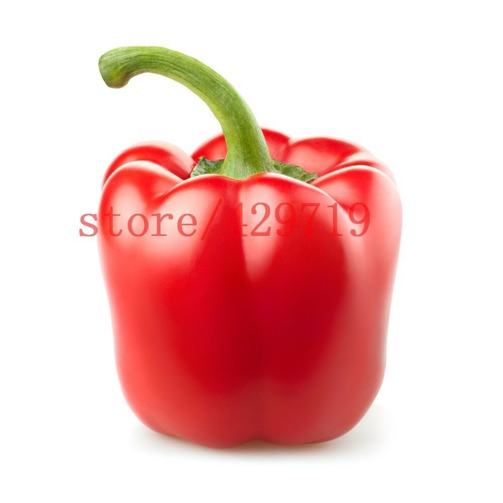 100 Seeds Red Sweet Pepper vegetable seedsHigh budding rate fast growth #4