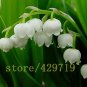 100 pcs bell orchid seeds white flower seeds for honsai very rare hanging flower