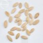 White Cucumber Cucumis Sativus, 20 Seeds, tasty edible organic vegetable