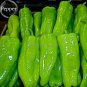 Heirloom Cubanelle Pepper Green Red Orange Sweet Pepper, 50 Seeds