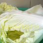 500 seeds CABBAGE Chinese cabbage NO-GMO Vegetable seeds Bok Choy Brassica