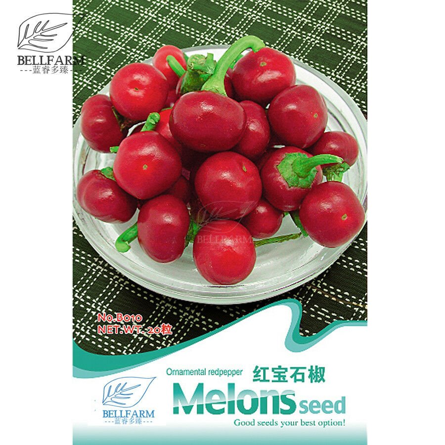 Ornamental Red Pepper Chili Bonsai 'Seeds' Sichuan Hot Pepper Small Capsicum