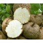 1 KG 2.2 LB Pueraria Mirifica Powder (White Kwao Krau) 100% Organic Herbal
