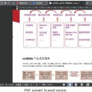 Convert PDF to word