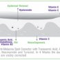 PROVAMED Anti-Melasma Overnight Mask Reduce Blemishes&Dark Spots