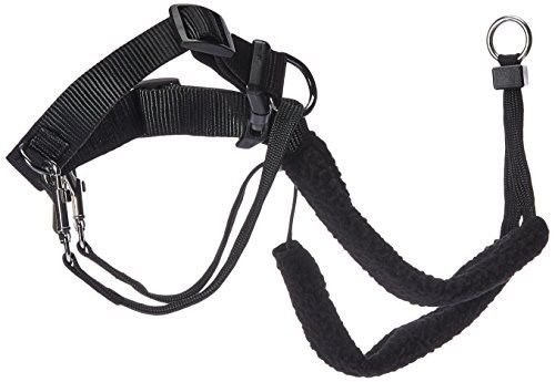 Sporn Dog Halter - Non-Pull No-Choke Humane Pet Training Halter Harness, Easy St