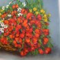 Red Poppies Original Oil Painting Wild Flowers Basket Impasto White Daisies Palette Knife Art