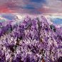 Lavender Fields Original Oil Painting Landscape Purple Flowers Trees Fine Art Meadow Impasto