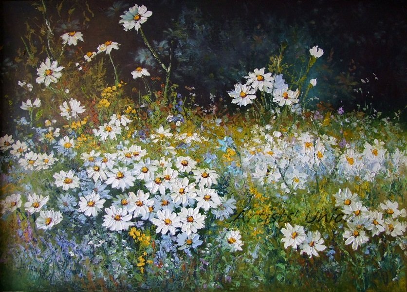 White Daisies Meadow Original Oil Painting Palette Knife Impressionism Impasto Wild Flower Landscape