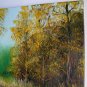 Autumn Landscape Original Oil Painting Wetlands Fall Forest Grass Trees Fine Art Offer