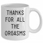 Thanks For All The Orgasms Funny Naughty Birthday Valentines Gifts For Husband Boyfriend Coffee Mug