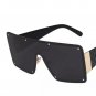 WOMEN OVER SIZED SUNGLASSES