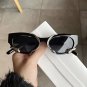 Steampunk Rectangle Sunglasses for Women New Small Frames Punk Snake Sun Glasses