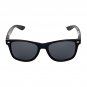 Polarized Black Sunglasses Men Women Classic Retro Style Spring Hinges UV400