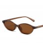 Retro Oval Frame Sunglasses Fashion Personalized Trendy Small Frame Sunglasses