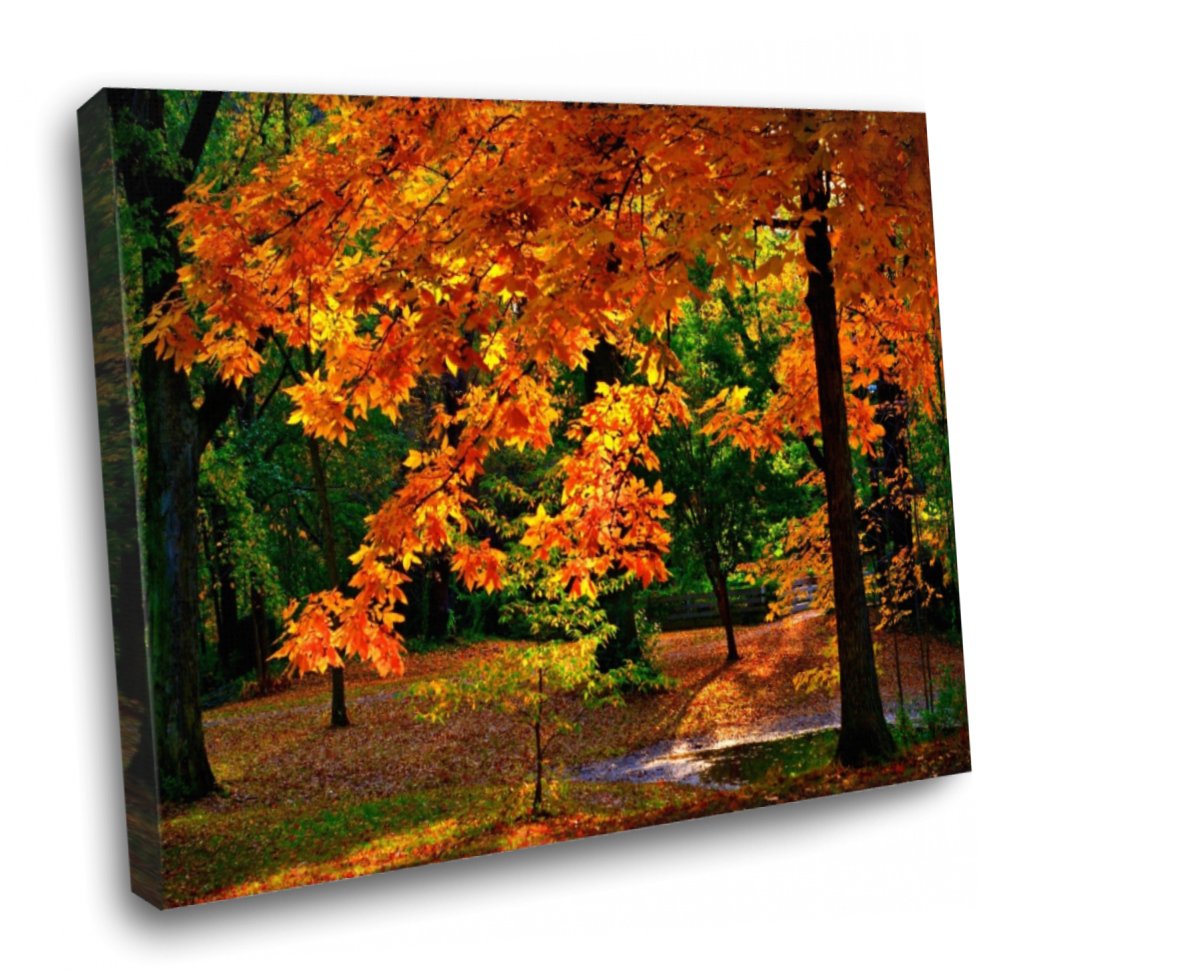 Autumn Colours Framed Canvas Wall Art 12x8