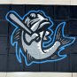 Tampa Tarpons MTT002 flag banner 3*5ft