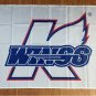 Kalamazoo Wings EKW003 flag banner 3*5ft
