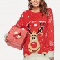 Christmas Print Long Jumper
