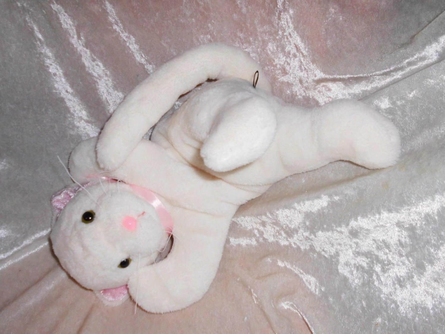 white kitten soft toy