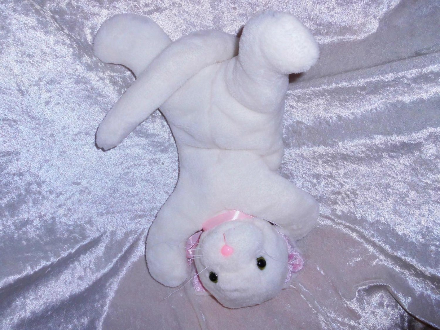 white kitten stuffed animal