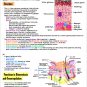2022 MCAT Study Guide