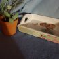 Small Decorative Tray