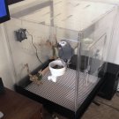 Bird Cage / Amazon Cage Small Bird Cage No Base