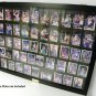 Baseball Card Display Case holds 50 ungraded Cards 06B