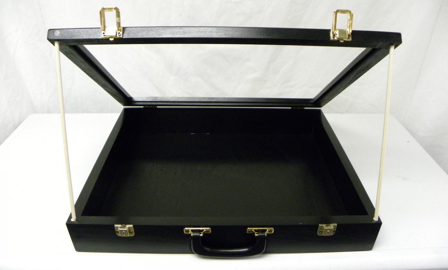 Card Display Case / Trade Show Display Case P302B