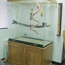 Large Macaw Cage, for Large Birds, Macaws, and Parrots with OAK BASE