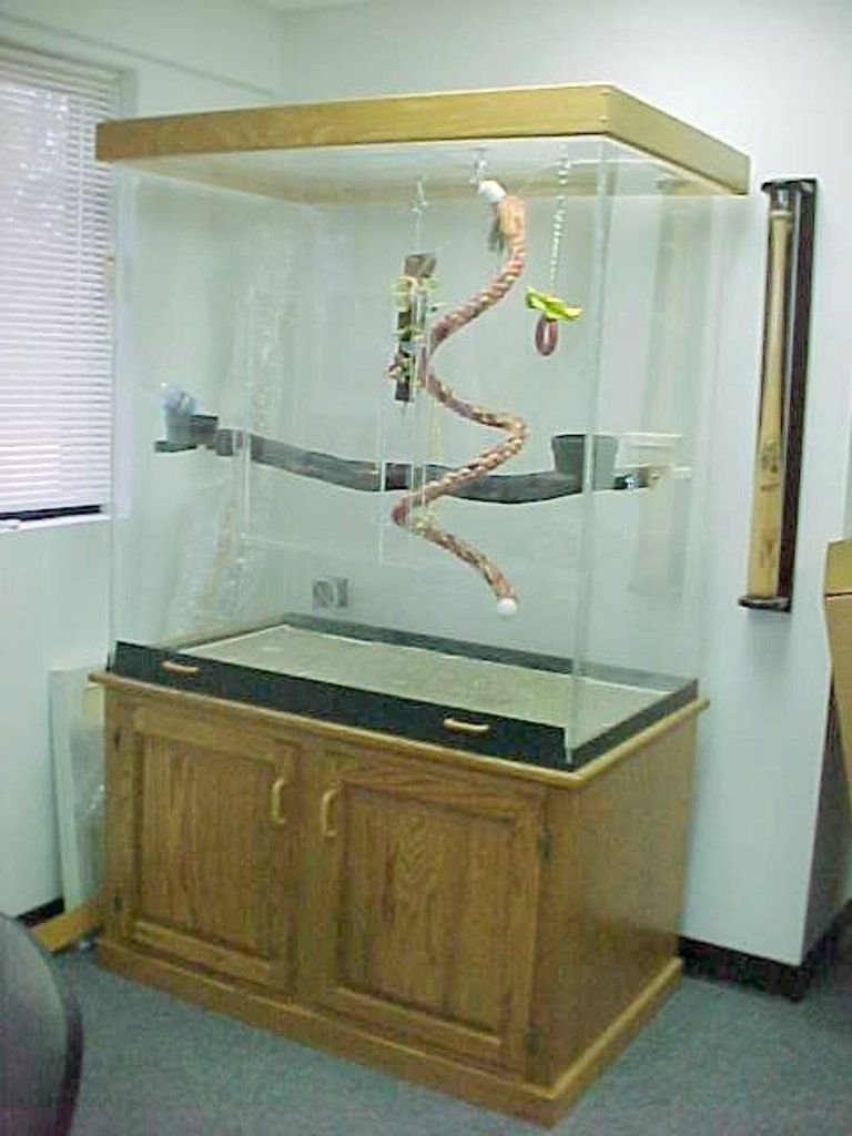 Large Macaw Cage, for Large Birds, Macaws, and Parrots with OAK BASE