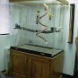 Large Macaw Cage, for Large Birds, Macaws, and Parrots with OAK BASE
