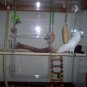 Bird Cage Medium-Large Cage for Amazons, Parrots, and Macaws with Oak Base