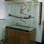 Bird Cage Medium-Large Cage for Amazons, Parrots, and Macaws with Oak Base