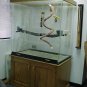 Bird Cage / Amazon Cage for Medium-Large Birds with NO BASE