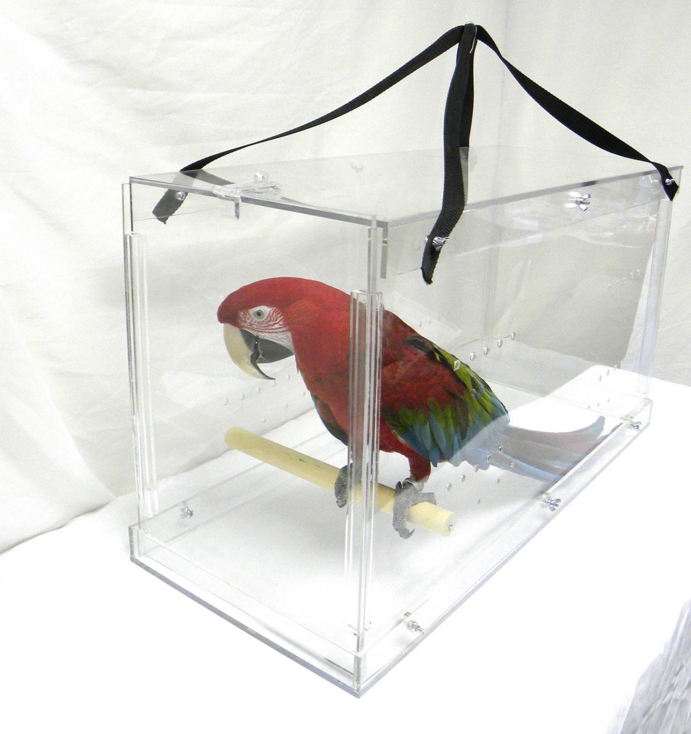 parrot travel bird carrier