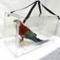 Large Bird Carrier , Solid acrylic parrot Macaw travel