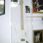 Acrylic Guitar Display Case