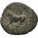 NG Julia Domna Roman Provincial Coin of Nikopolis ad Istrum Bull on back i1378
