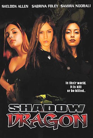 Shadow Dragon (DVD, 2005)