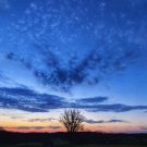 Lovely early morning sunshine. Blue clouds & orange sky. Framed - Mathias Zoneu