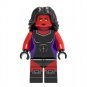 Red She-Hulk Minifigures Lego Compatible Hulk Minifigure