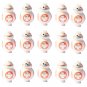 10pcs Resistance BB-8 Robot Minifigures Lego Compatible Star Wars Sets