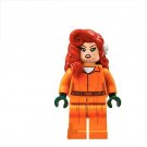 Prison Poison ivy Minifigures Lego Compatible Batman Minifigure