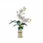 Phalaenopsis aphrodite Rchb. f. Building Block Toy Lego Compatible Minifigures