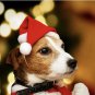 Christmas Pet Santa Hat Dog Cat Gift Costume Plush Xmas holiday Accessory Prop Santa Paws