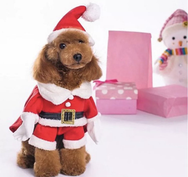 Santa Claus Hat Arms Pet XS-XL Outfit Costume Puppy Dog Christmas Holiday Xmas Clothes Coat Apparel