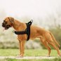 Reflective Harness Leash Pet Set XXS-L No Pull Set Quick Fit Reflective Strap Vest Puppy Dogs