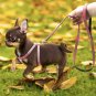 Rhinestone Harness Leash Pet Set S-L Suede Leather for Puppy Dog Kitty Cat Pet Supplies